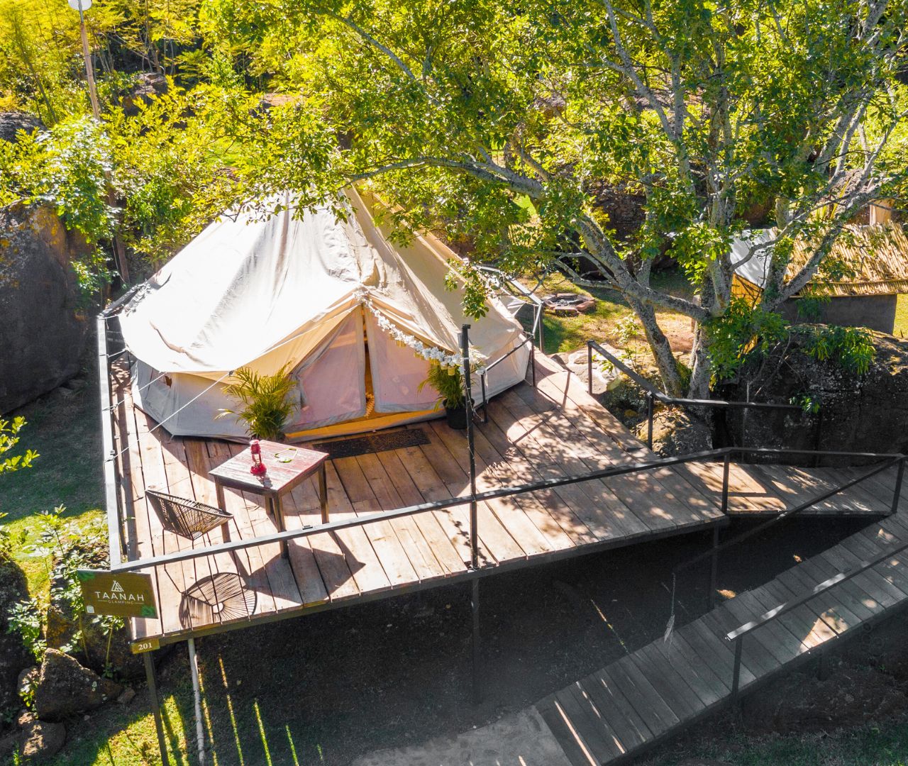 Tienda de glamping sobre deck de madera entre los árboles de Taanah